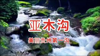 深度交流,尽在小时候奇怪的梦
